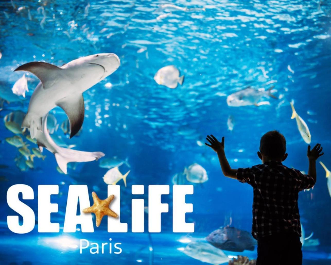 L Eiffel Disney 5Min Paris 35Min Parking Terrasse Serris Exterior photo